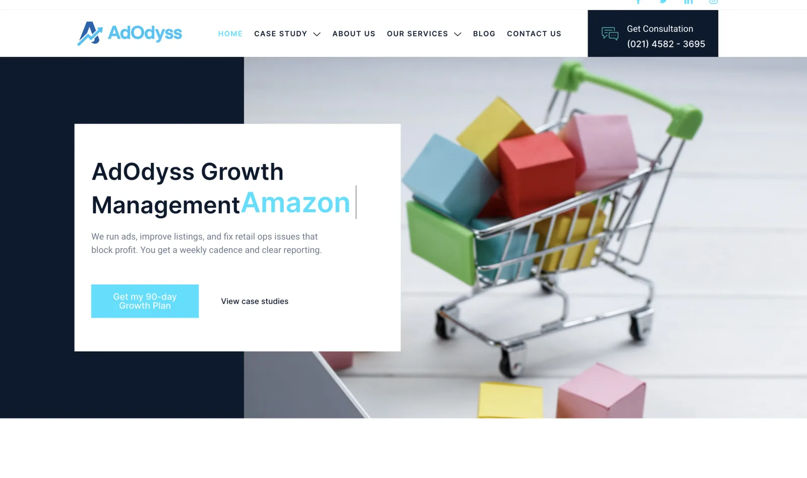 AdOdyss Growth Management